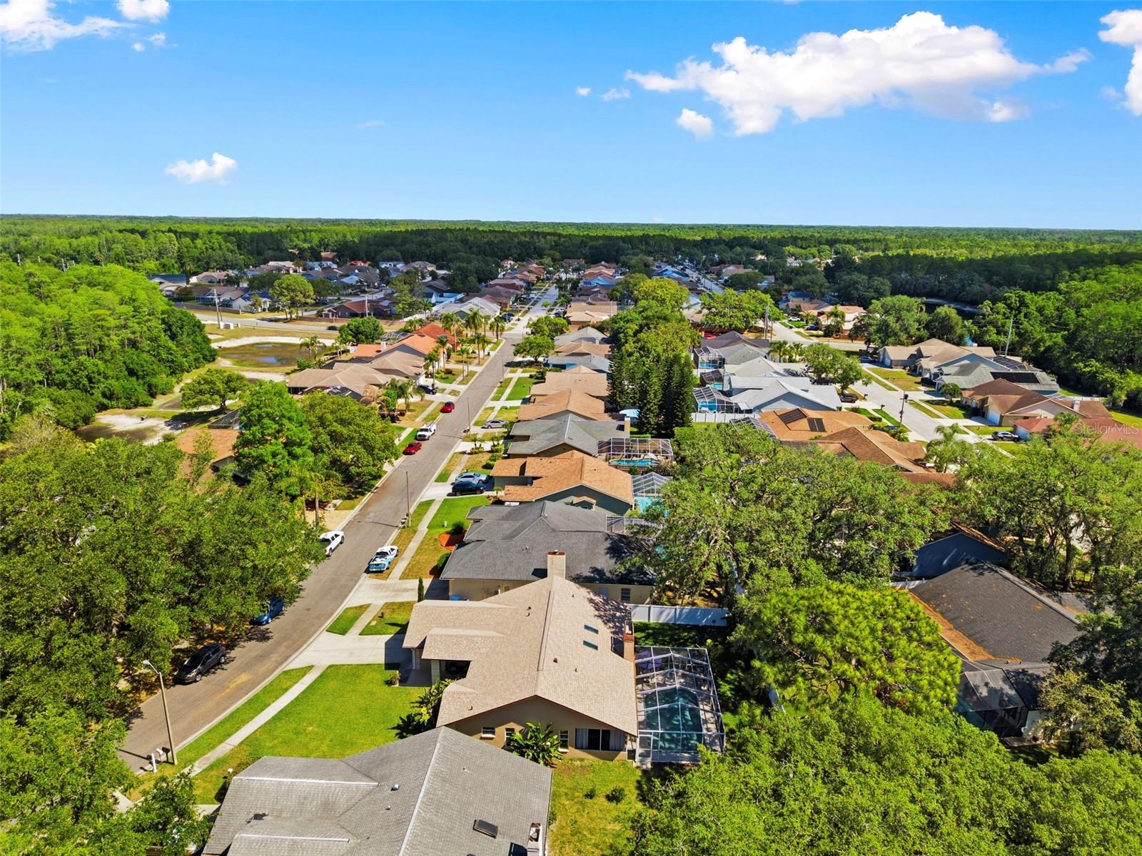 Image 52 of 52 For 5226 Saltamonte Drive