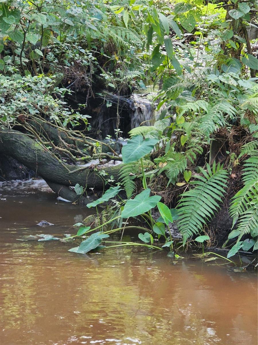 Listing photo id 7 for 2855 Tom Brewer Lane