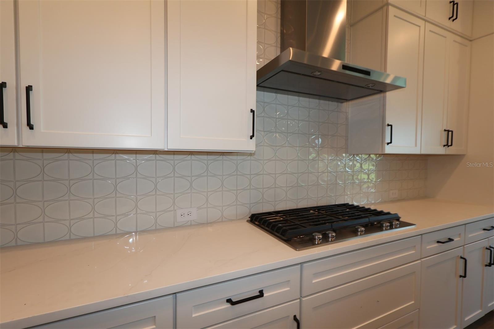 Image 4 of 12 For 17526 Foxtail Loop