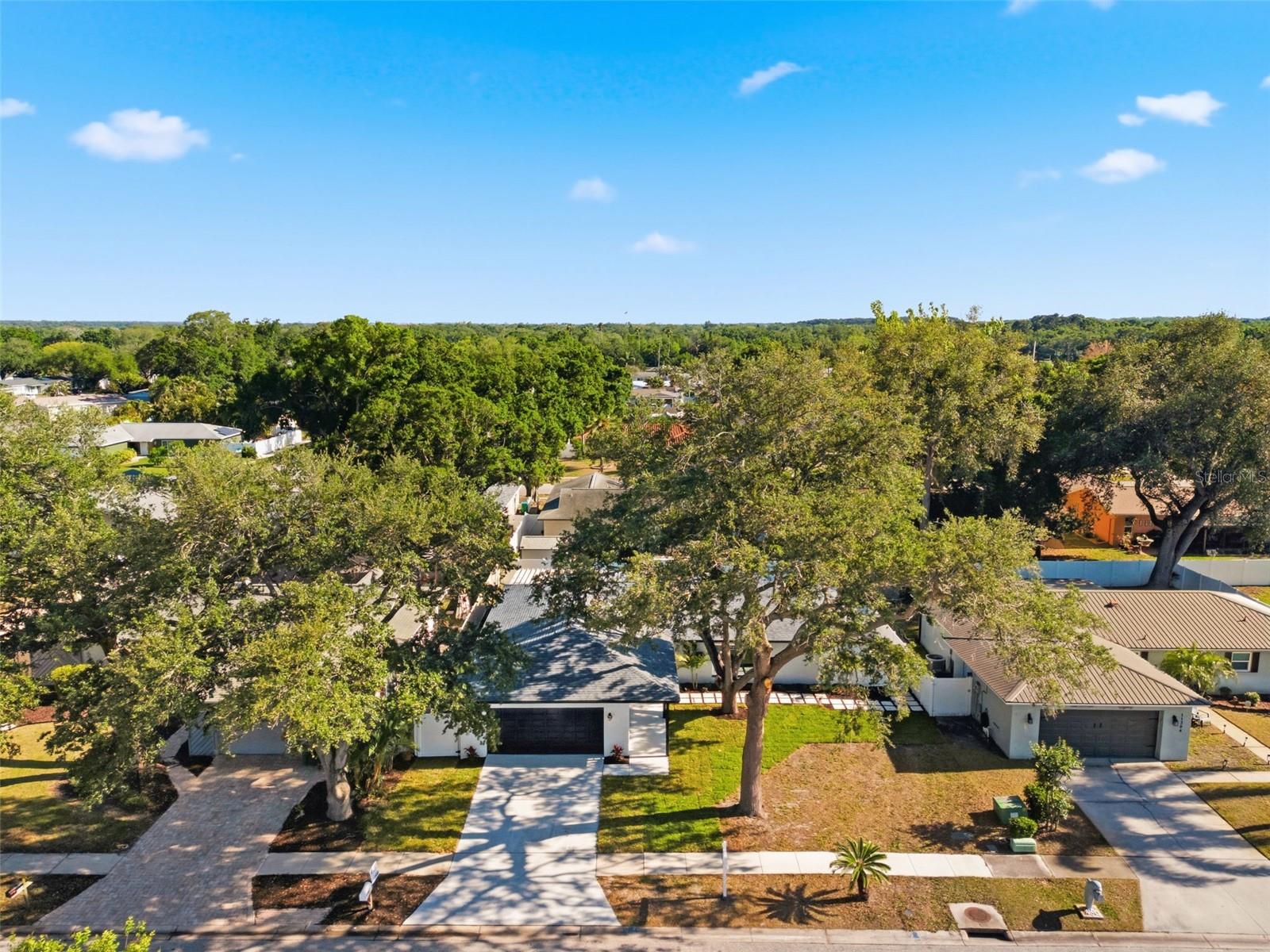 Image 64 of 74 For 11180 113th Avenue