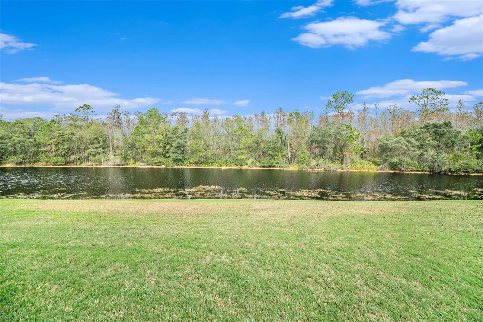 Listing photo id 21 for 8478 Dunham Station Drive