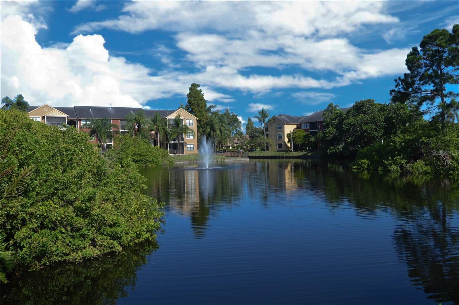 Image 52 of 84 For 11901 4th Street N 11105