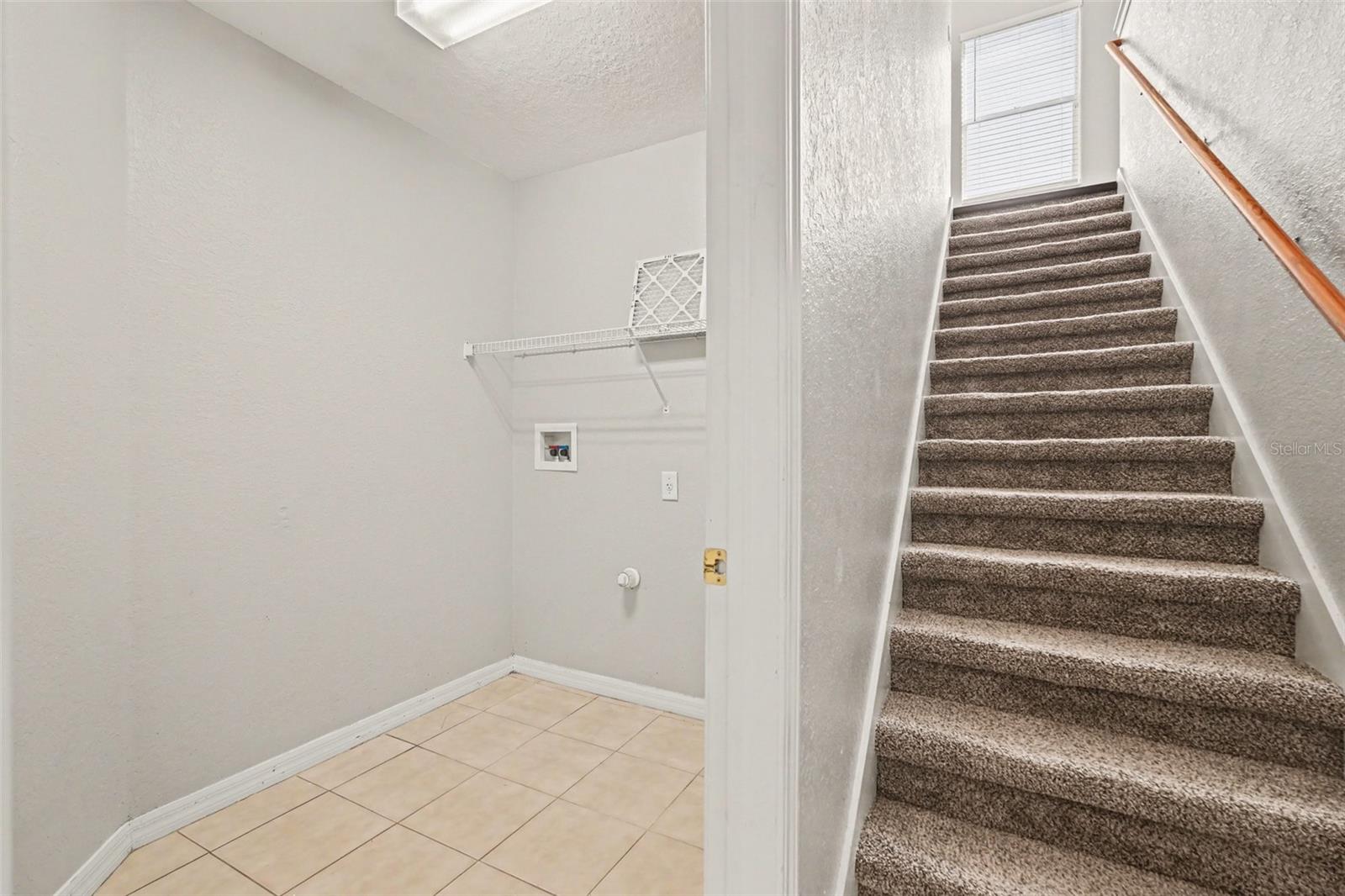 Image 17 of 28 For 10902 Tree Cactus Loop