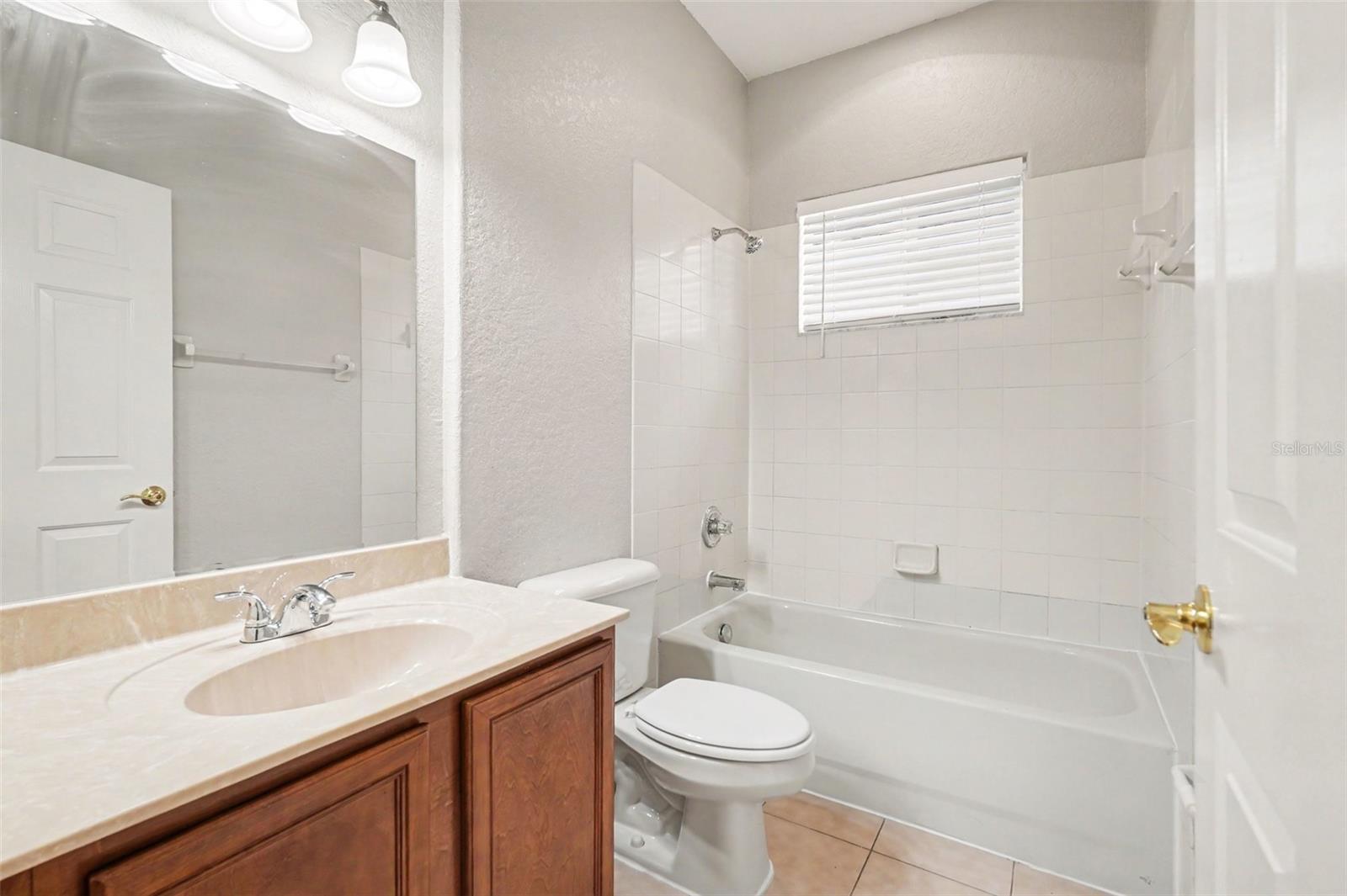 Image 22 of 28 For 10902 Tree Cactus Loop