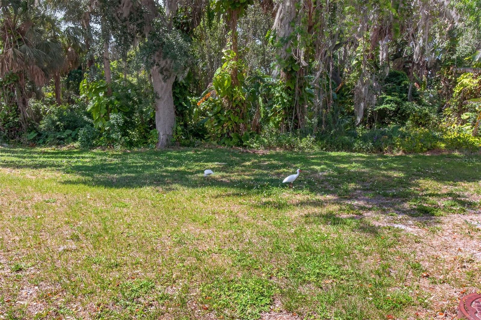 Image 37 of 47 For 3609 Luma Drive