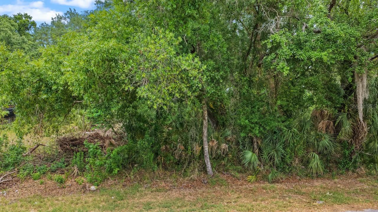 Image 5 of 16 For 704 1st Avenue Ne