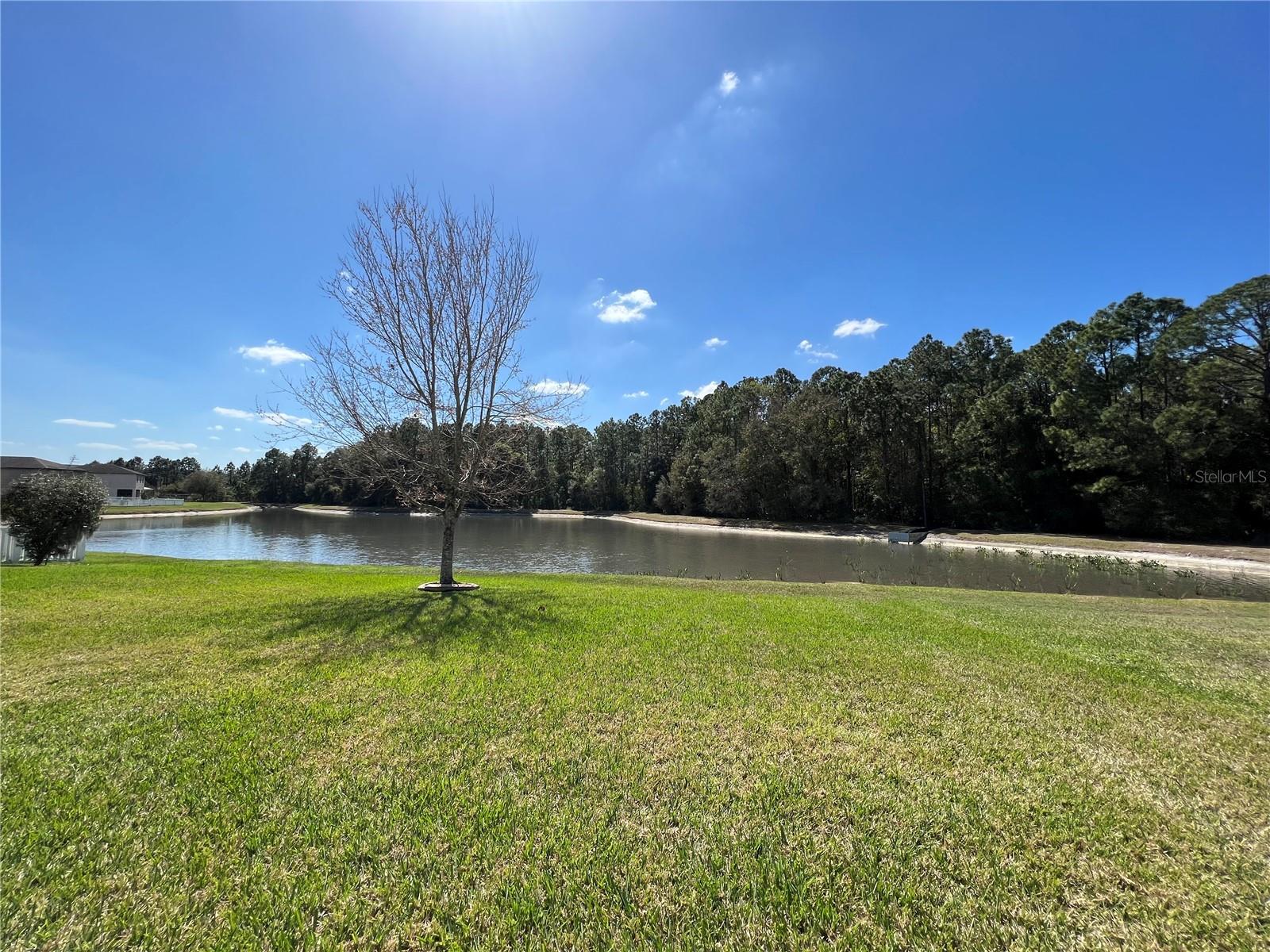 Image 28 of 30 For 20010 Date Palm Way