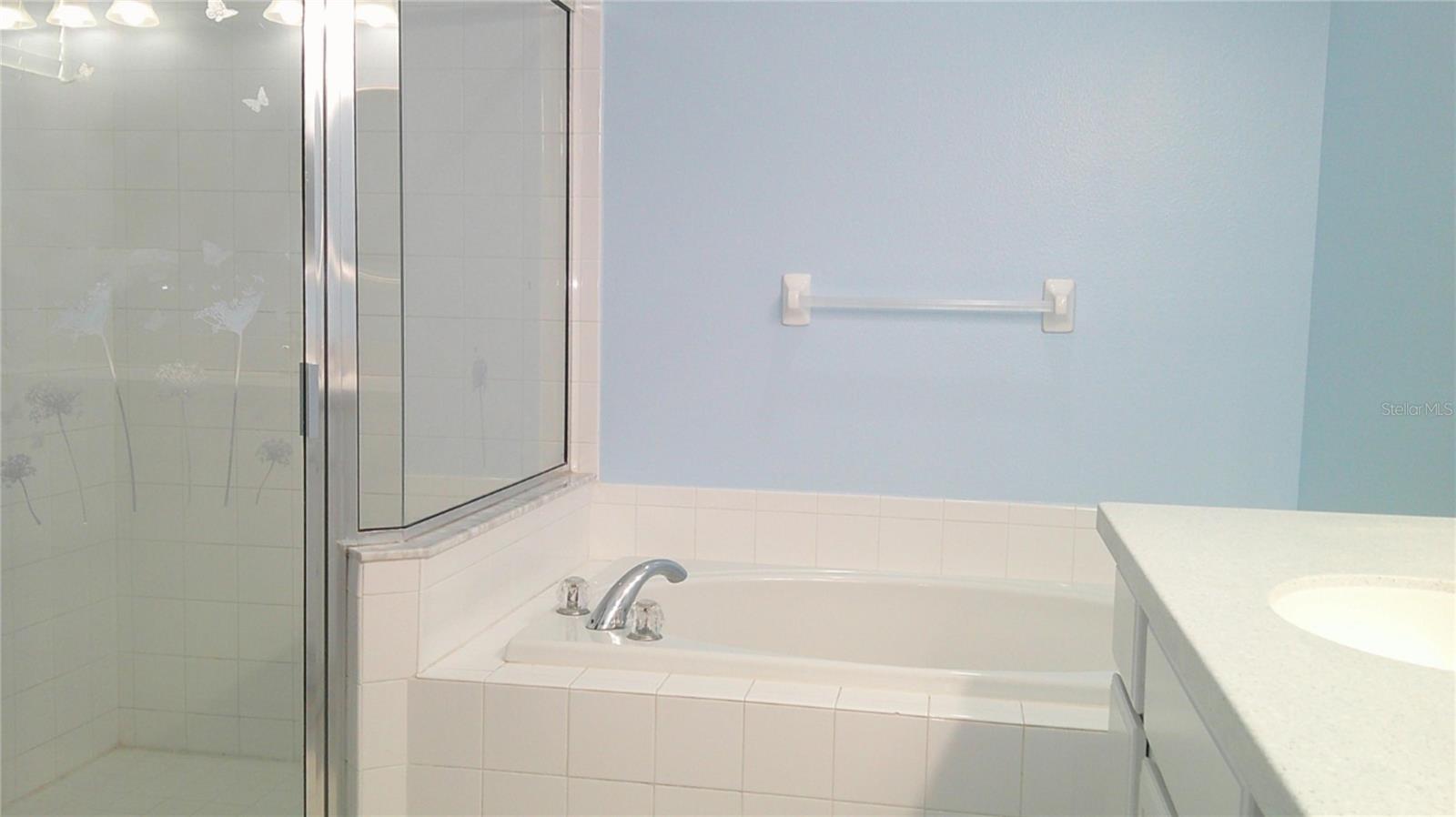 Image 15 of 24 For 8512 Canterbury Lake Boulevard