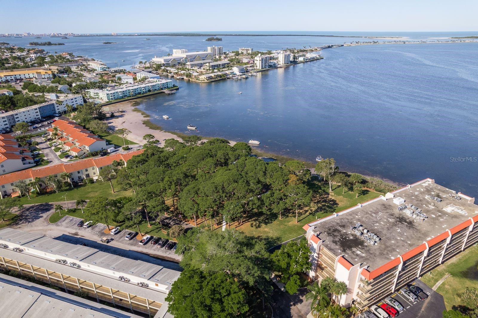 Image 34 of 37 For 2700 Bayshore Boulevard 3201