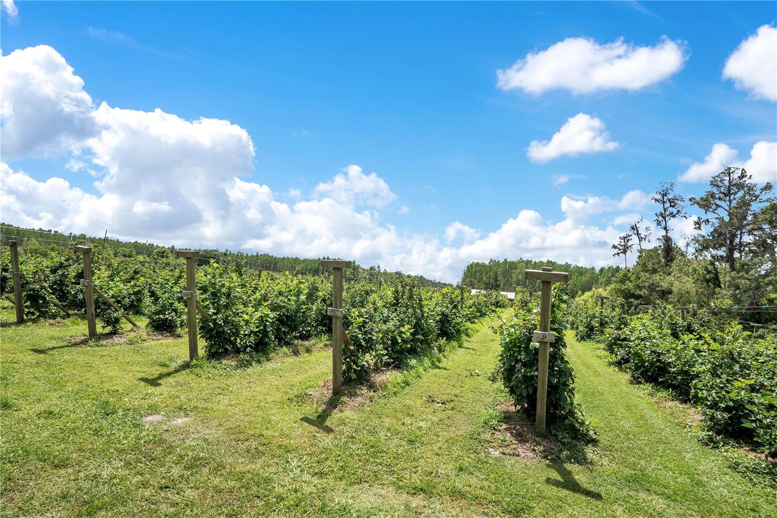 Image 35 of 42 For 3801 Herlong Street