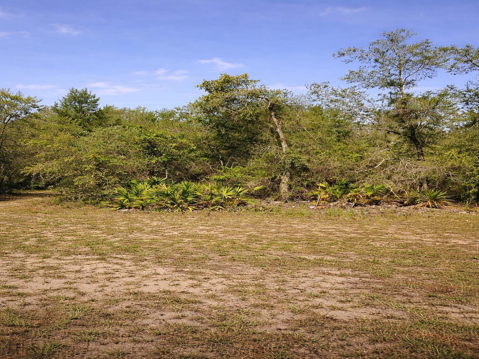 Details for Shetland Drive, LAKE WALES, FL 33898