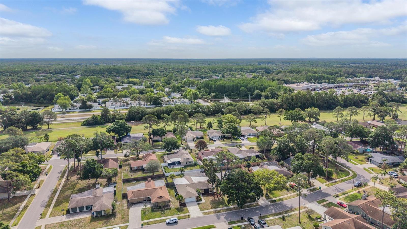 Image 41 of 43 For 3643 Fairway Forest Circle