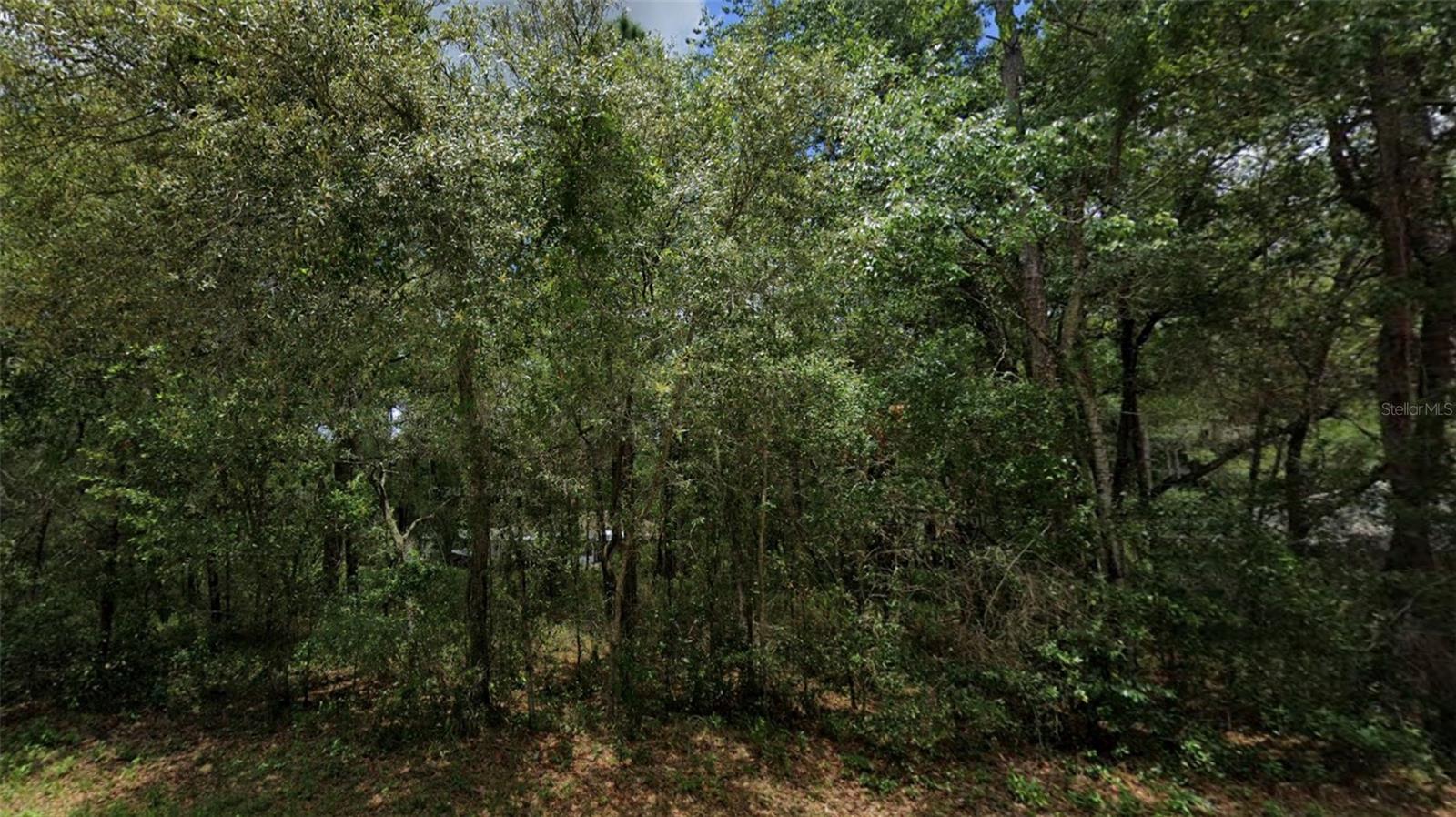 Image 3 of 3 For 3301 Anderson Street