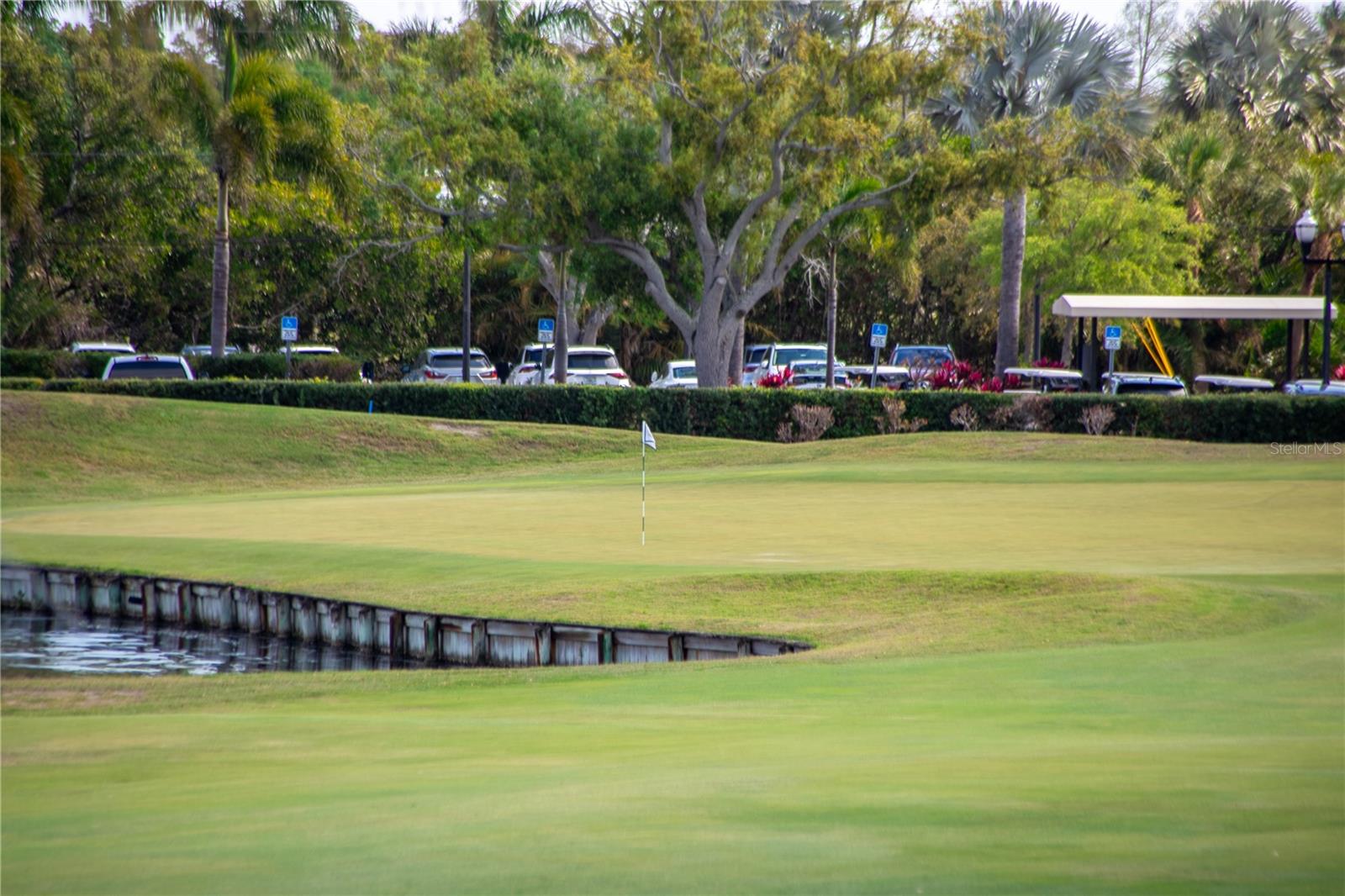 Listing photo id 79 for 110 Palmera Boulevard Ne