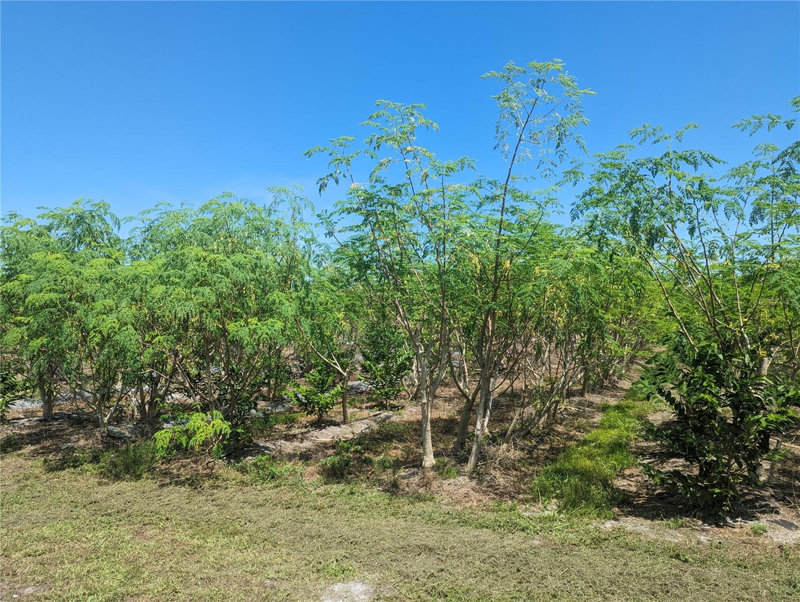 Image 4 of 10 For 16070 Carlton Lake Road