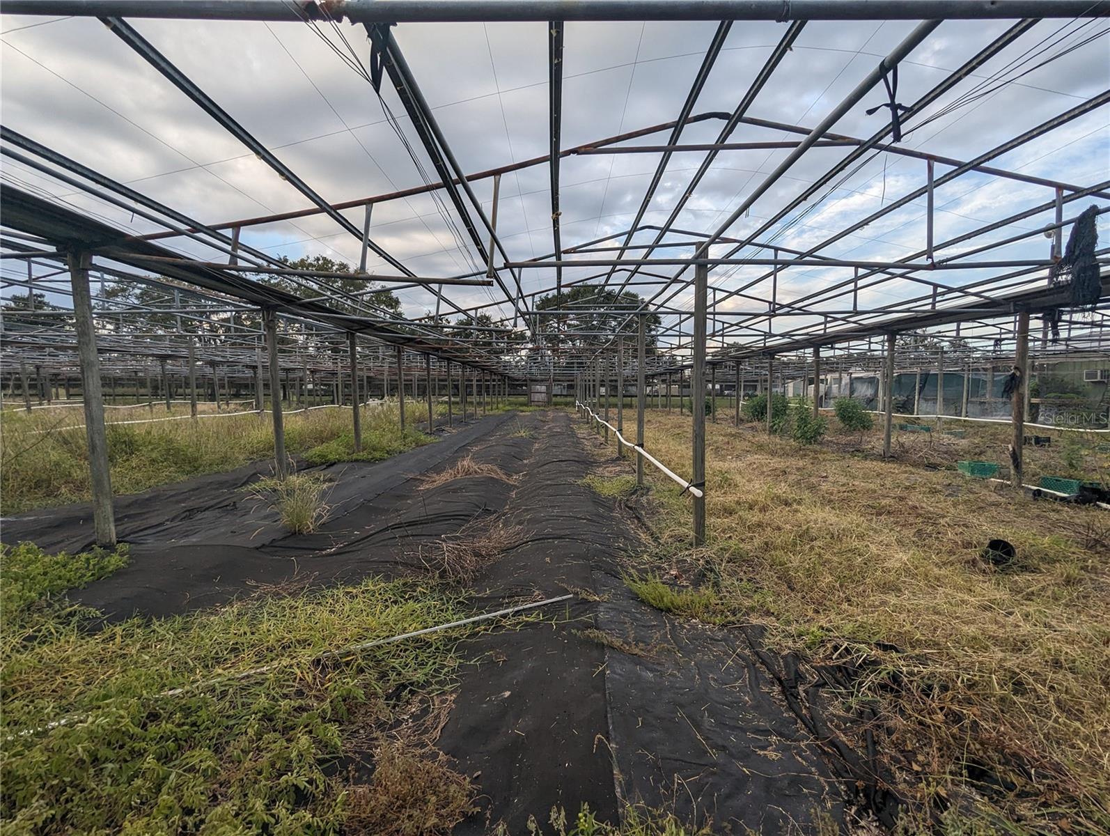 Image 9 of 10 For 16070 Carlton Lake Road