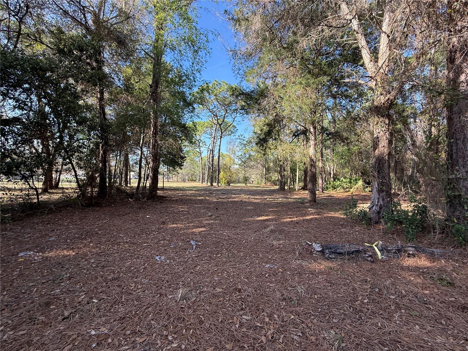 Image 10 of 11 For 6479 Holiday Street