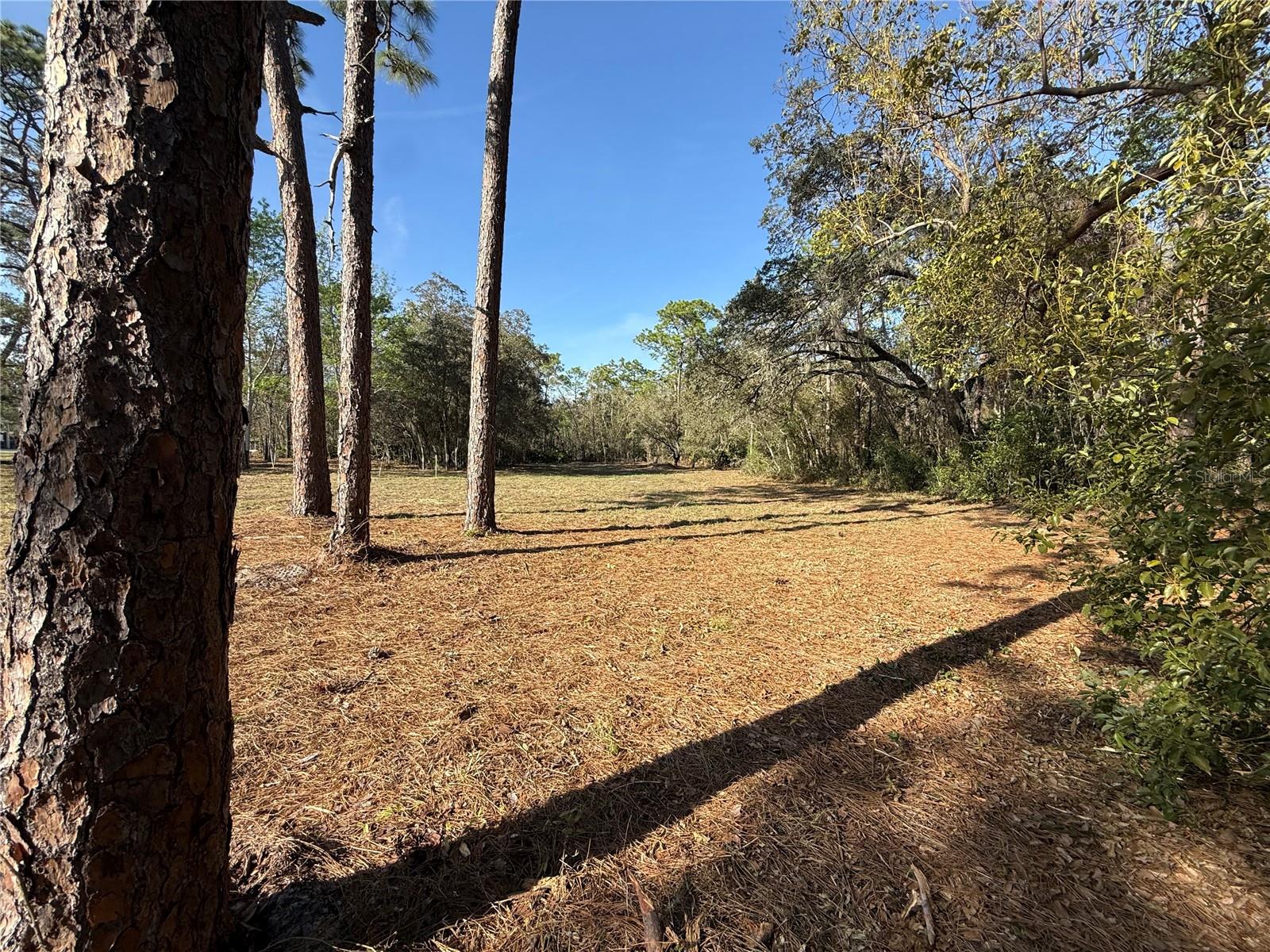 Image 6 of 11 For 6479 Holiday Street