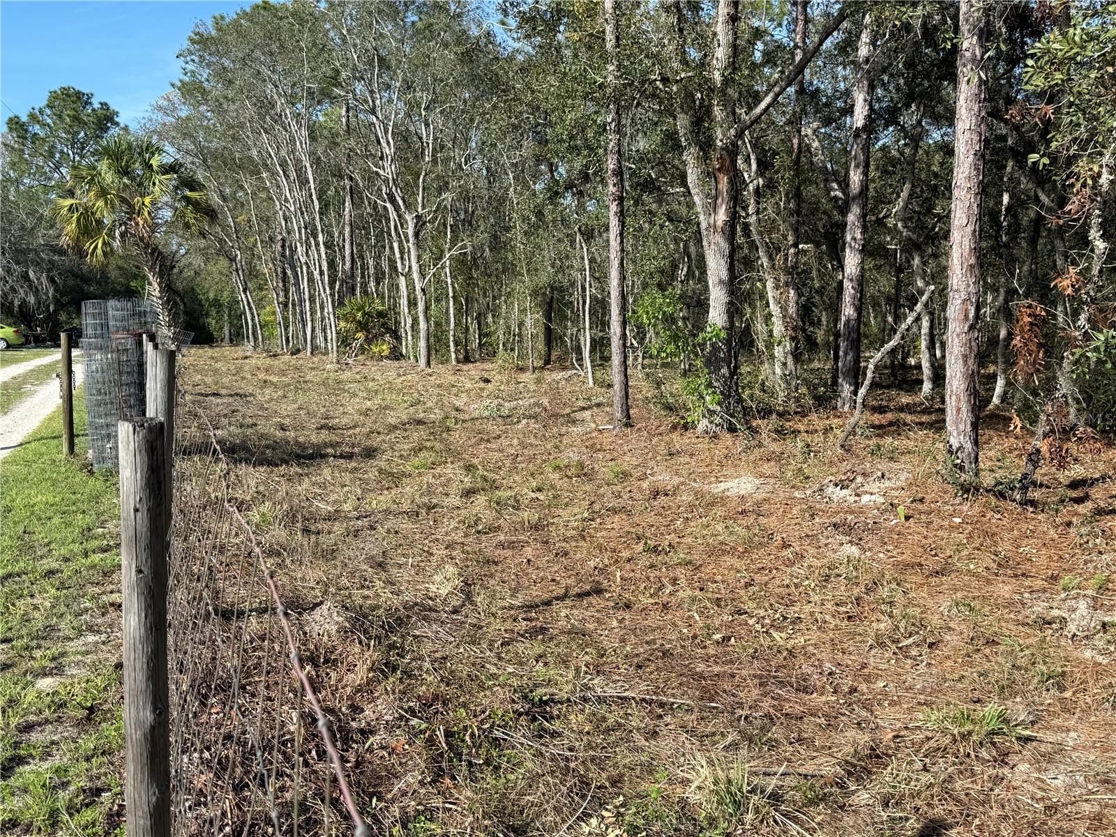 Image 8 of 11 For 6479 Holiday Street