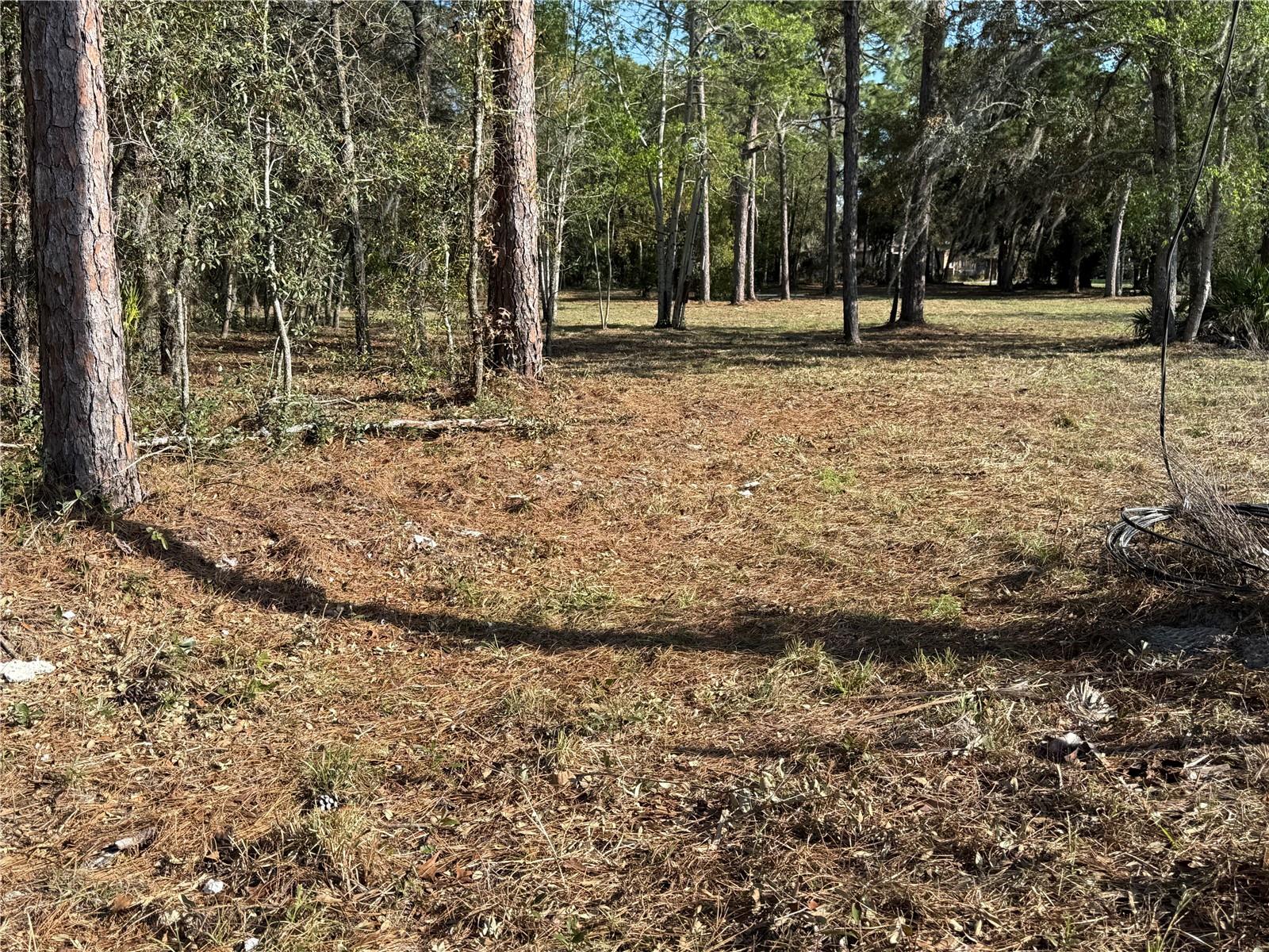 Image 9 of 11 For 6479 Holiday Street