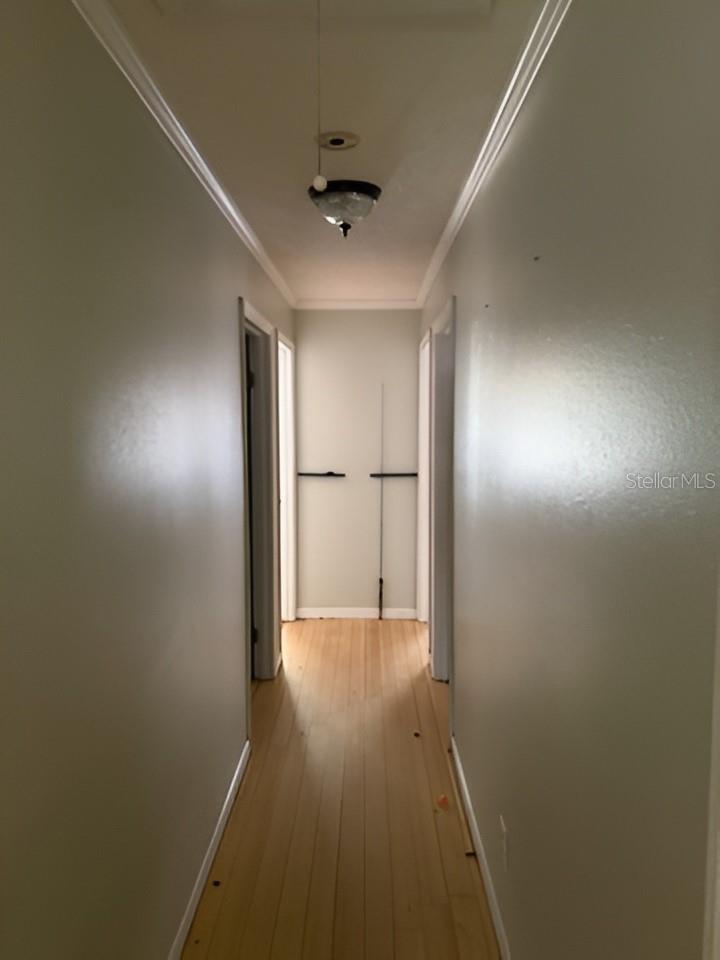 Image 10 of 18 For 101 Walker Drive