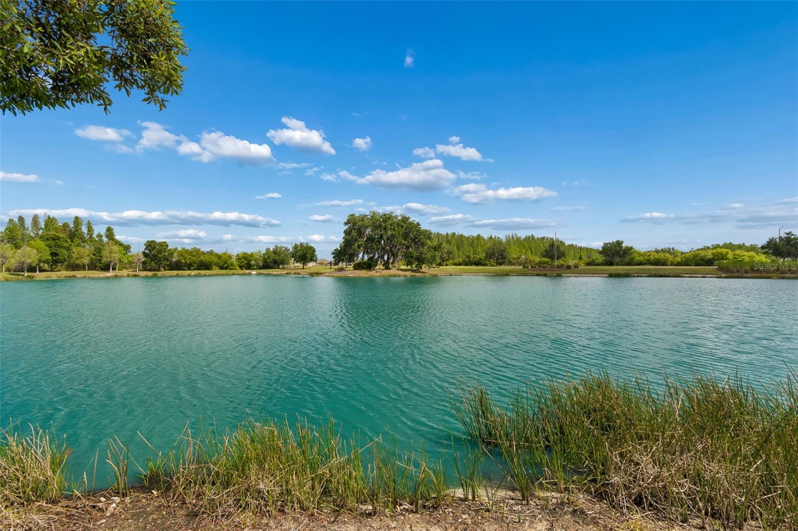 Image 4 of 68 For 32237 Watoga Loop