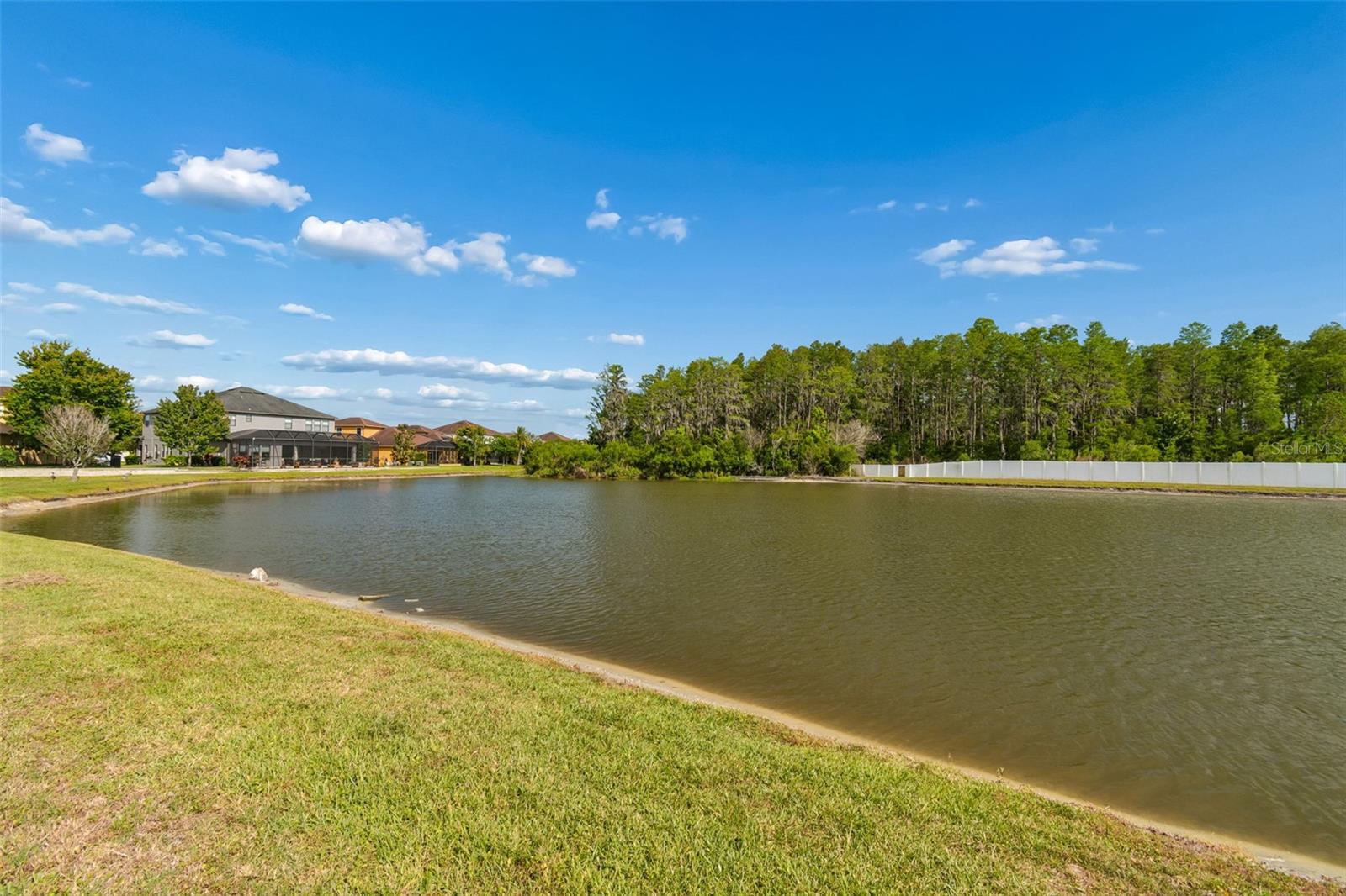 Image 30 of 100 For 12312 Lake Blvd