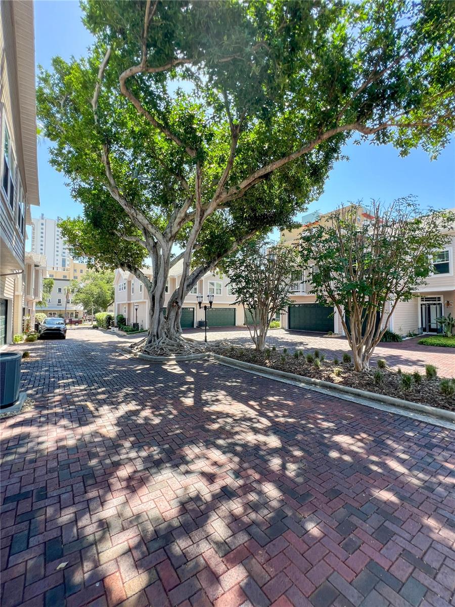 Image 55 of 76 For 350 2nd Street N 8