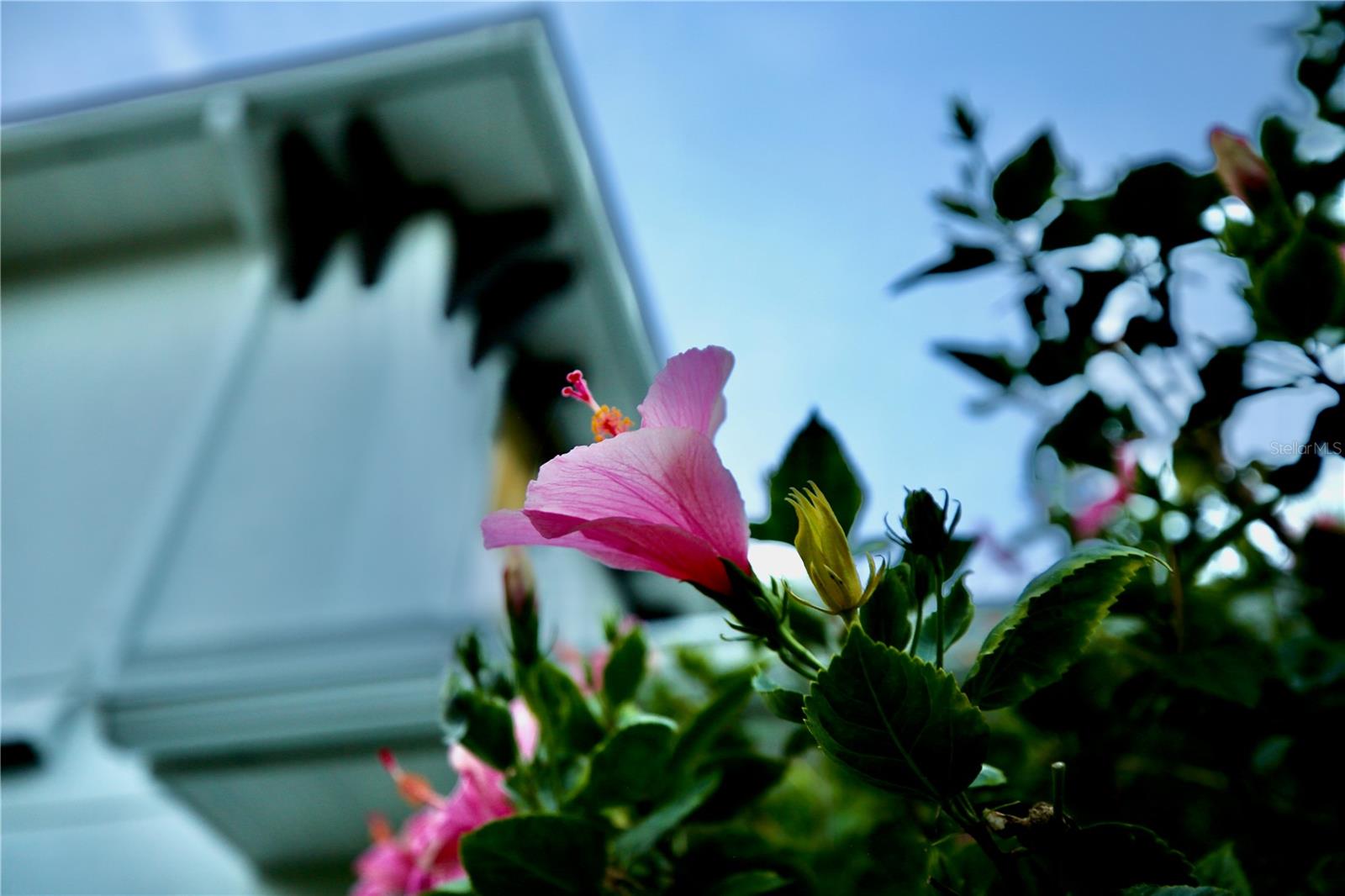 Image 59 of 63 For 17104 Crawley Road