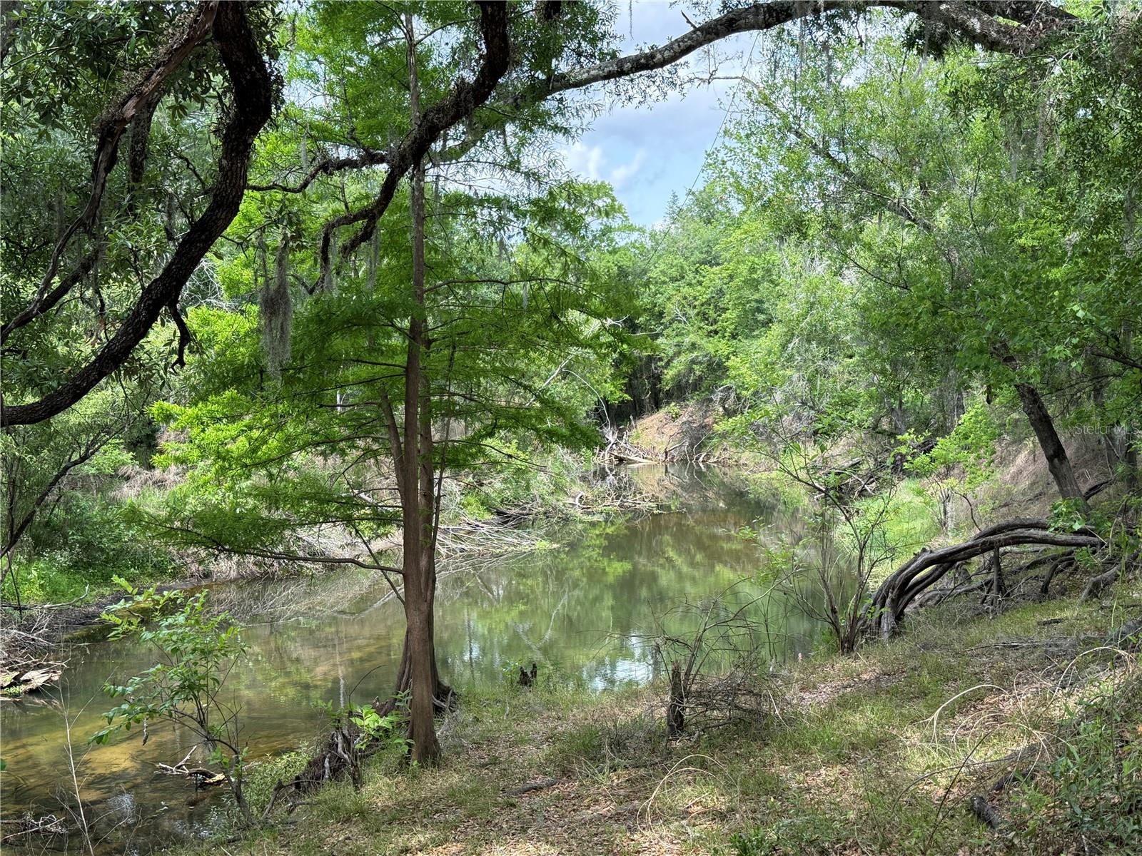 Image 10 of 20 For 3205 Park Dr