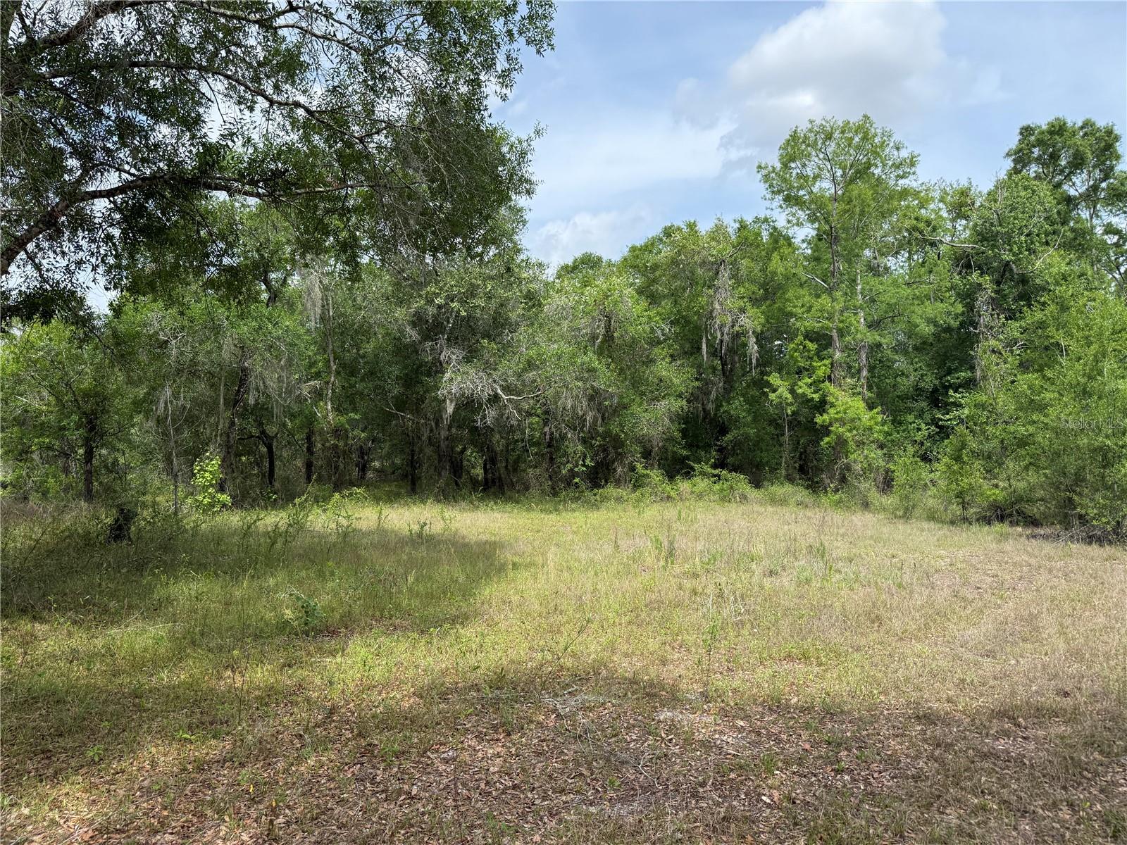 Image 13 of 20 For 3205 Park Dr