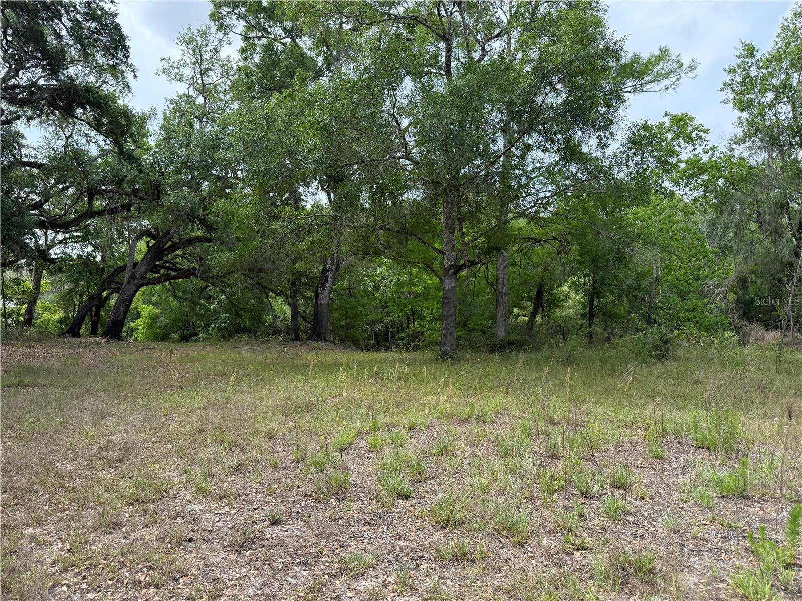 Image 15 of 20 For 3205 Park Dr