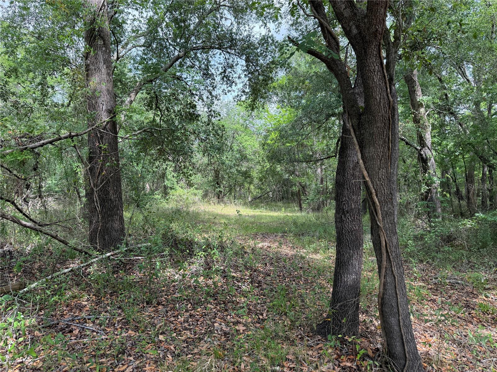 Image 16 of 20 For 3205 Park Dr