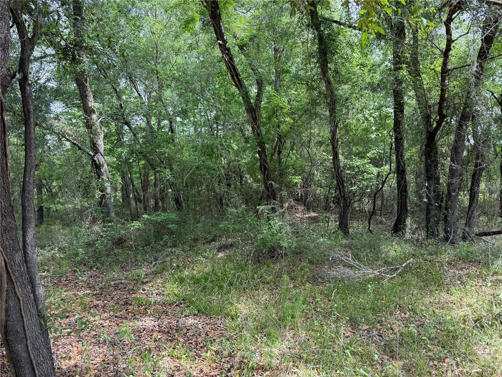 Image 17 of 20 For 3205 Park Dr