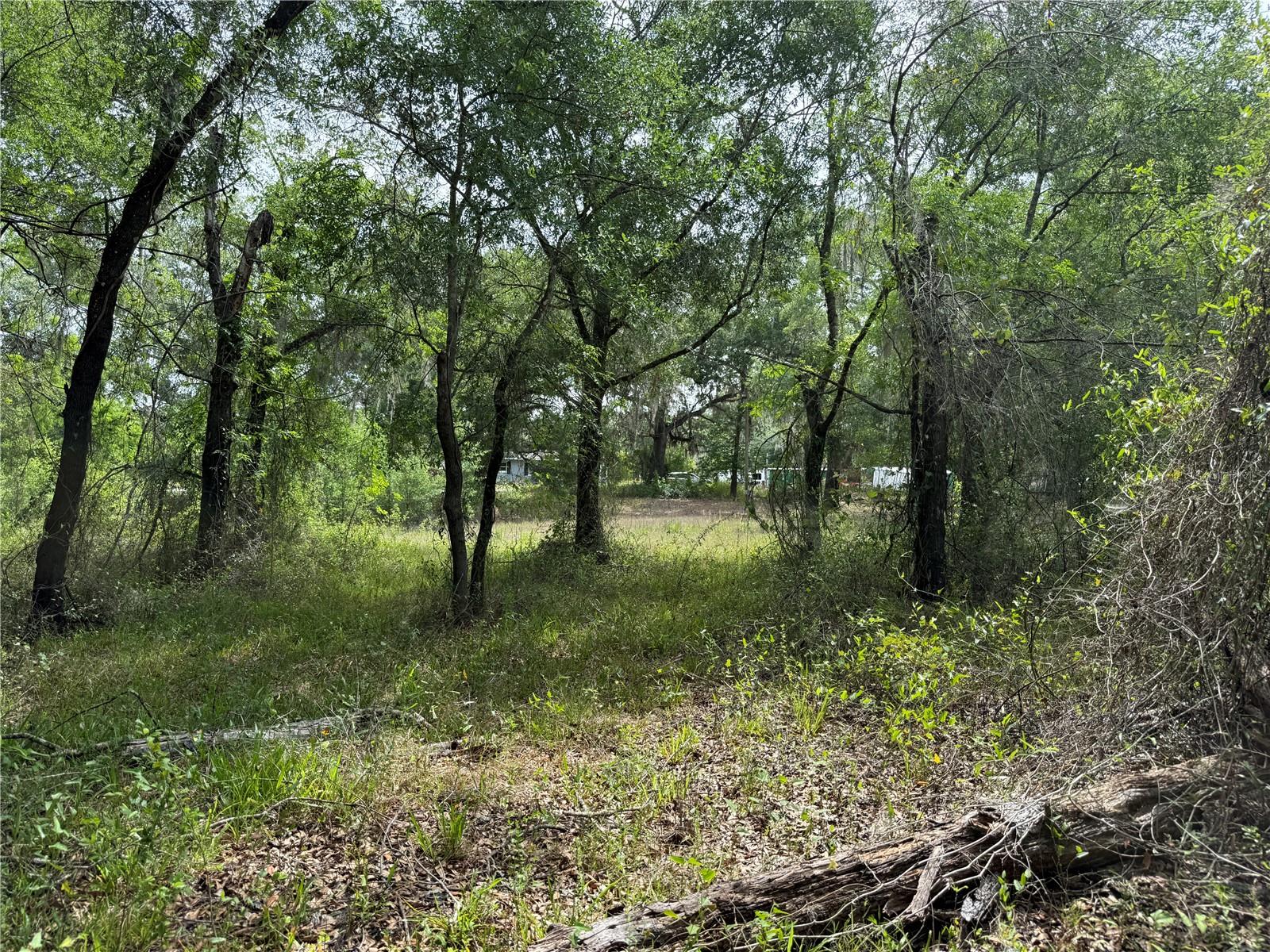 Image 18 of 20 For 3205 Park Dr