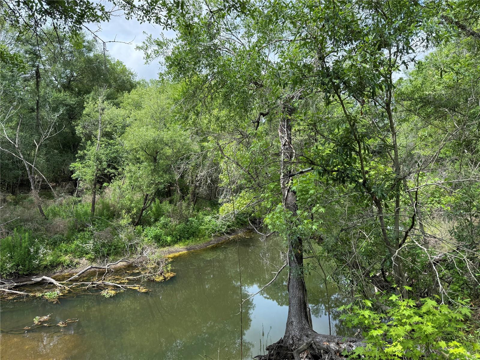 Image 5 of 20 For 3205 Park Dr