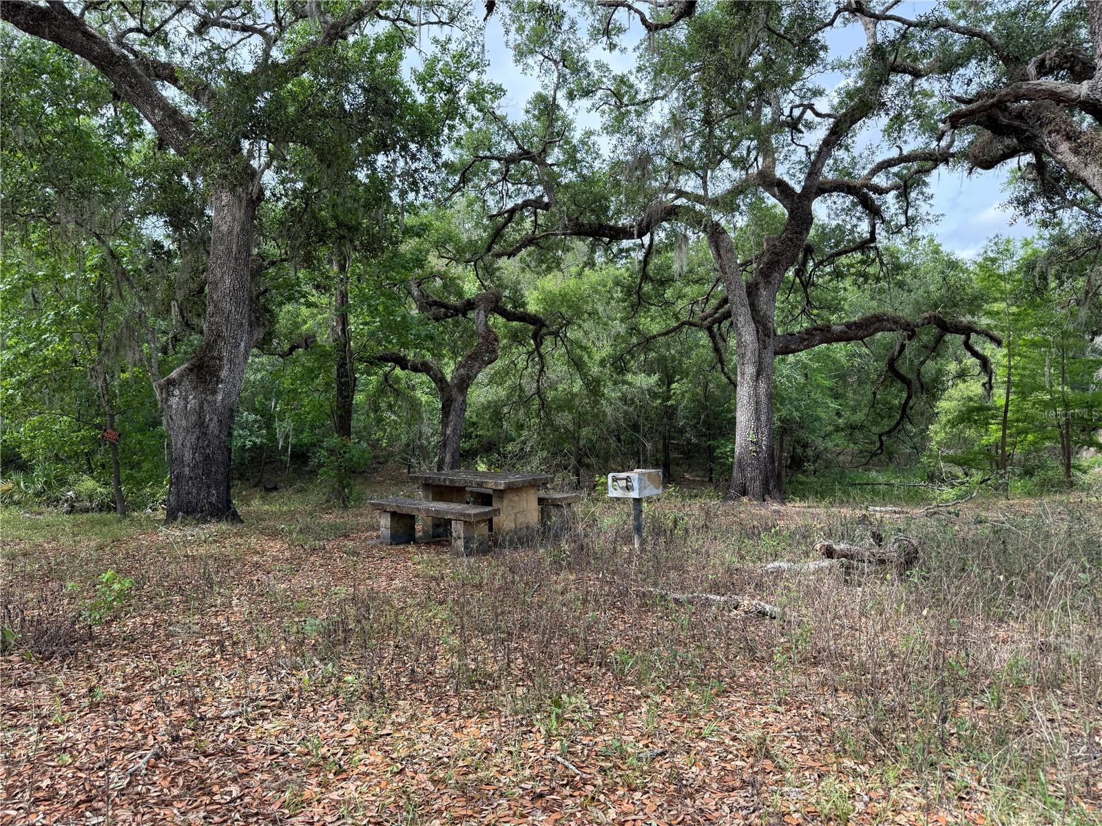 Image 6 of 20 For 3205 Park Dr