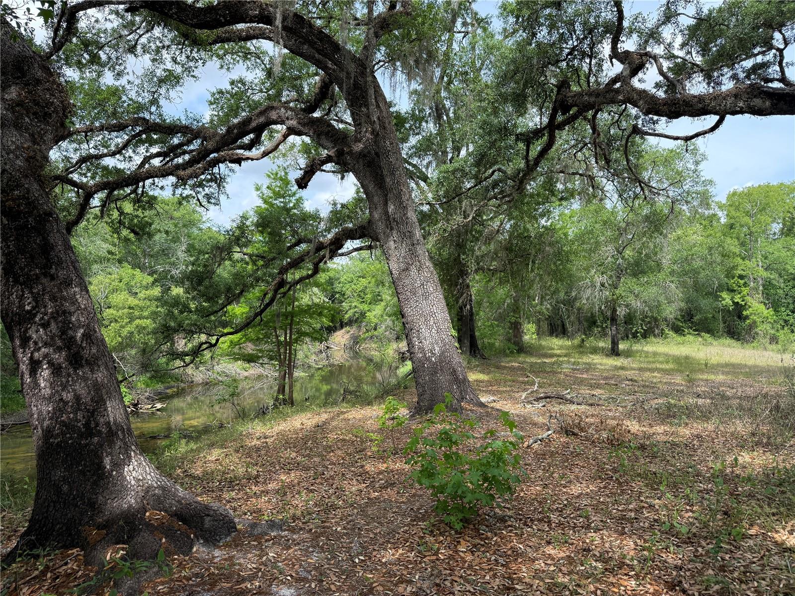 Image 7 of 20 For 3205 Park Dr