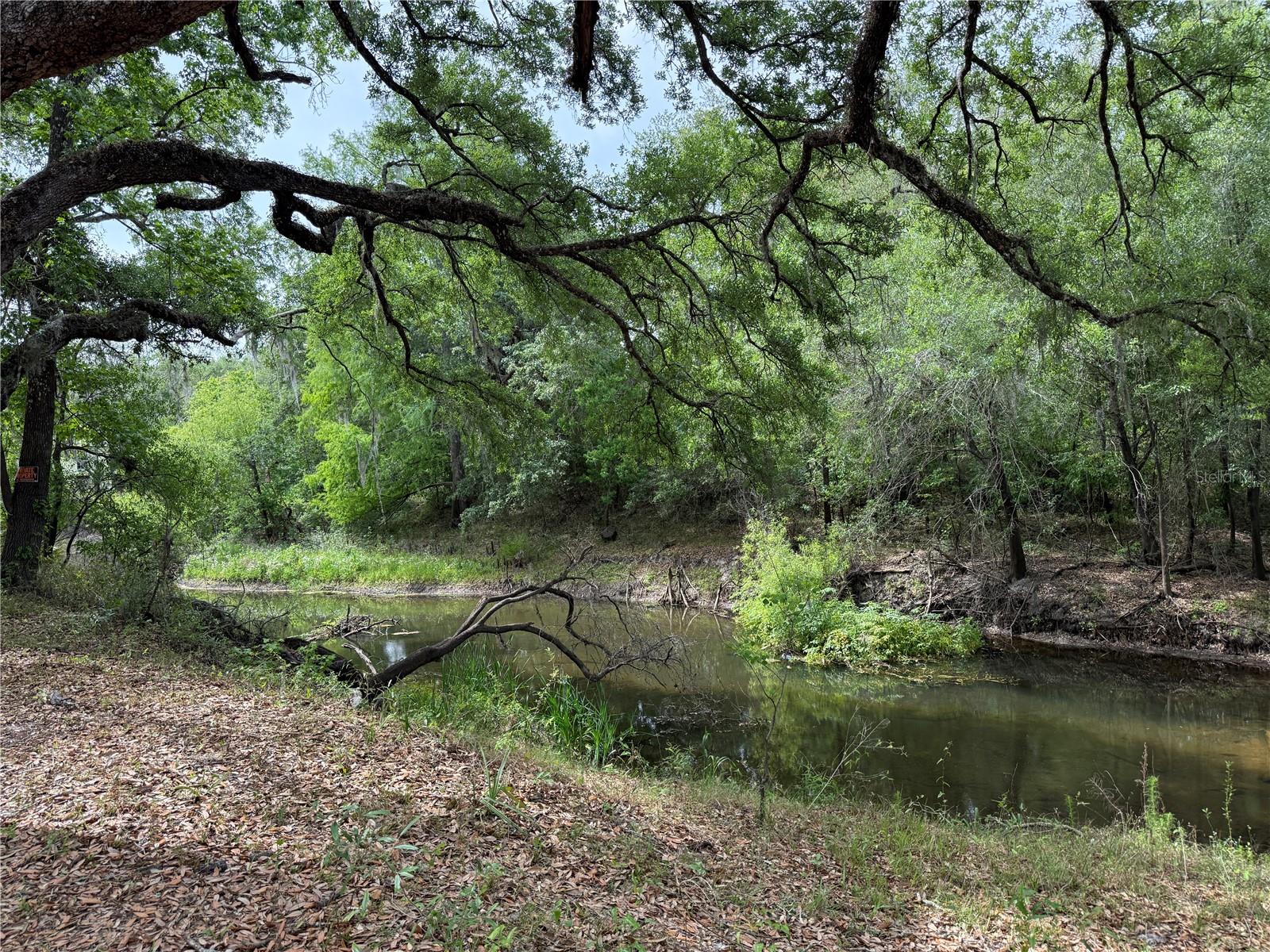 Image 8 of 20 For 3205 Park Dr