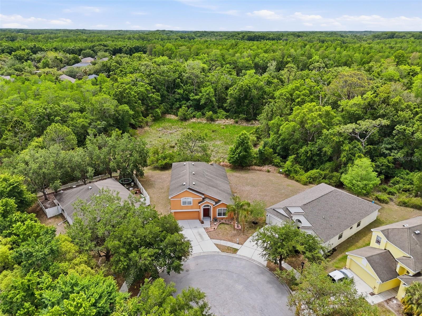 Image 2 of 48 For 12005 Infinity Drive