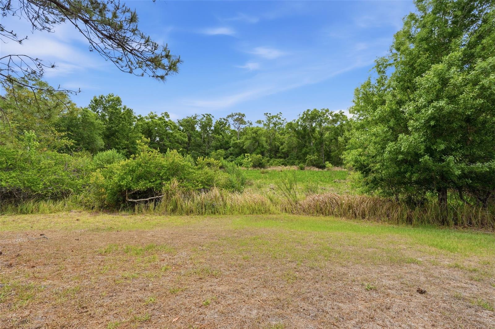 Image 43 of 48 For 12005 Infinity Drive