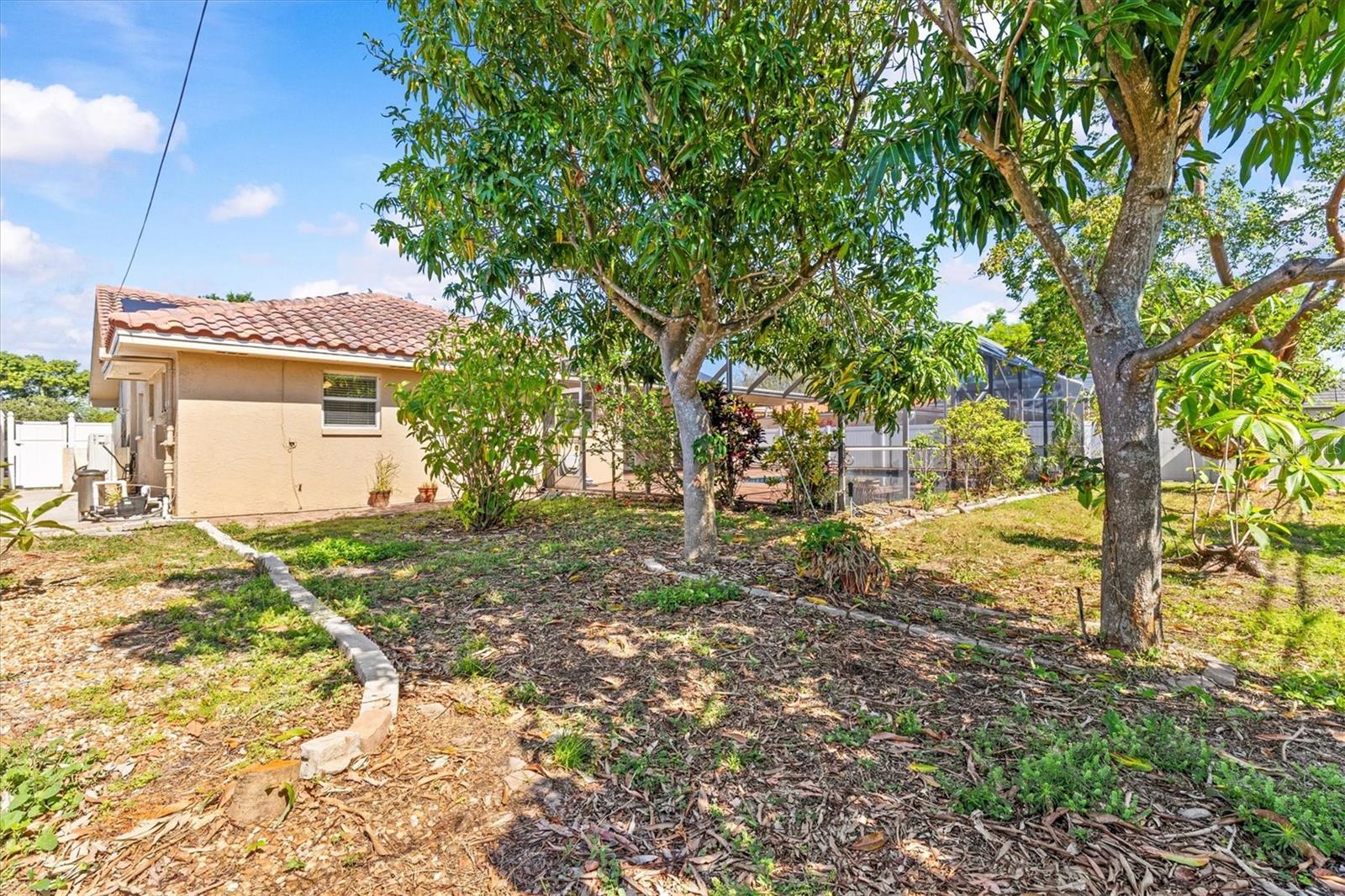 Image 42 of 57 For 3149 Carlos Drive