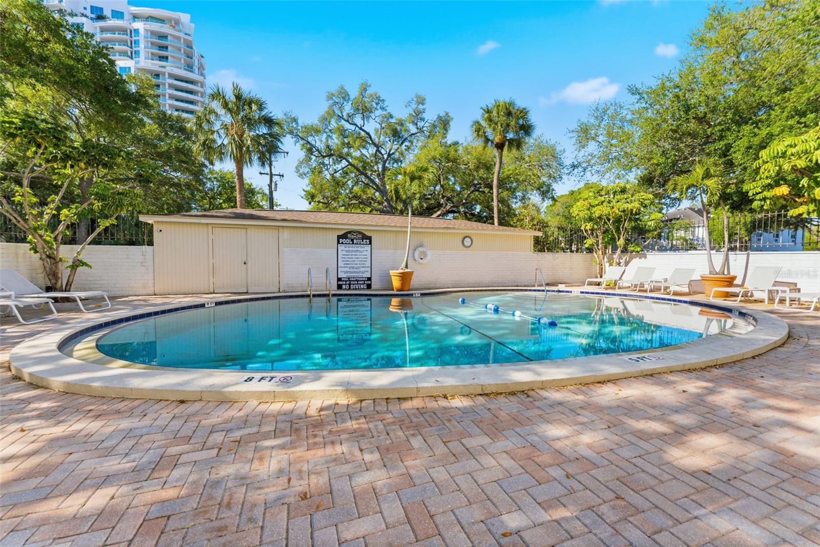 Image 36 of 40 For 3325 Bayshore Boulevard E22