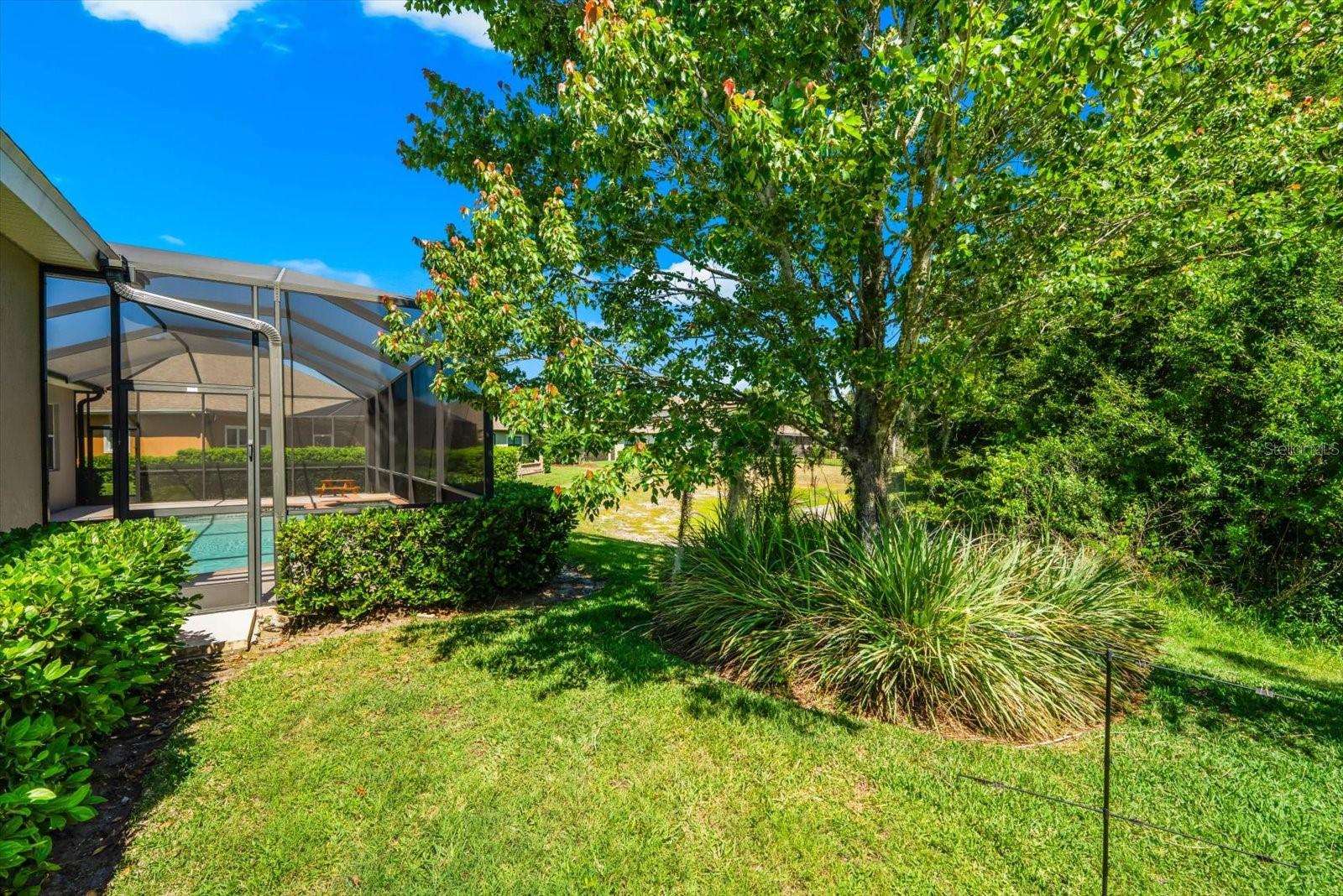 Image 59 of 91 For 8904 Crystal Creek Court