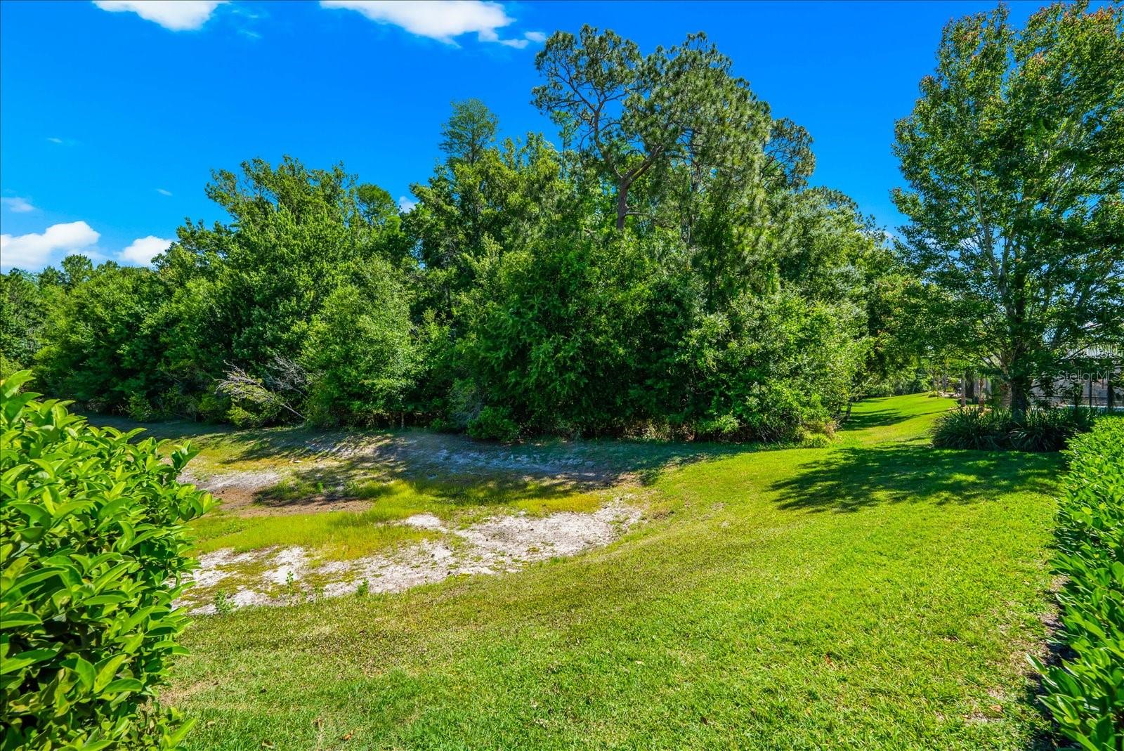 Image 91 of 91 For 8904 Crystal Creek Court