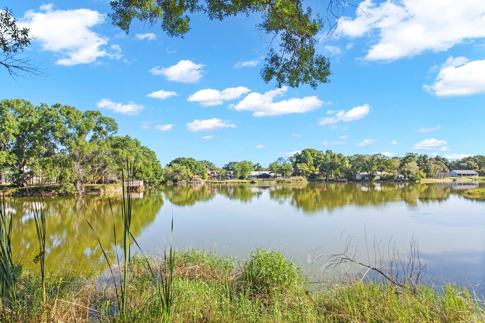 Image 39 of 61 For 9608 Springbrook Drive