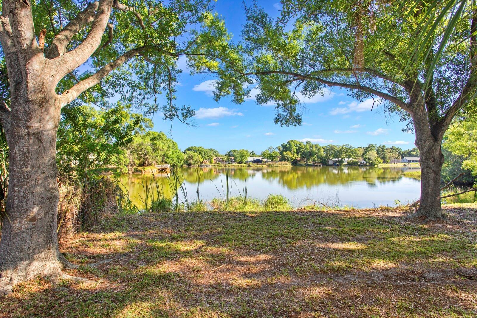 Image 7 of 61 For 9608 Springbrook Drive