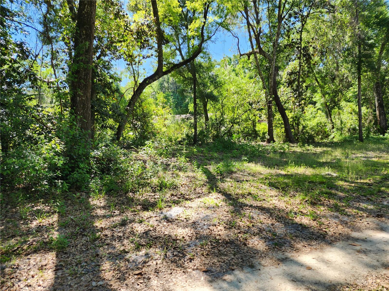 Image 22 of 25 For 4150 Spaniel Trail