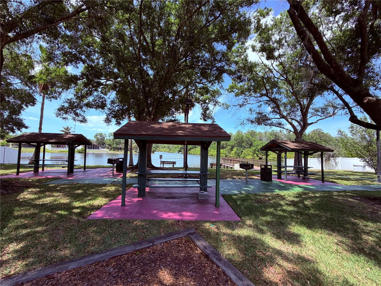 Image 47 of 57 For 129 Camphor Circle F