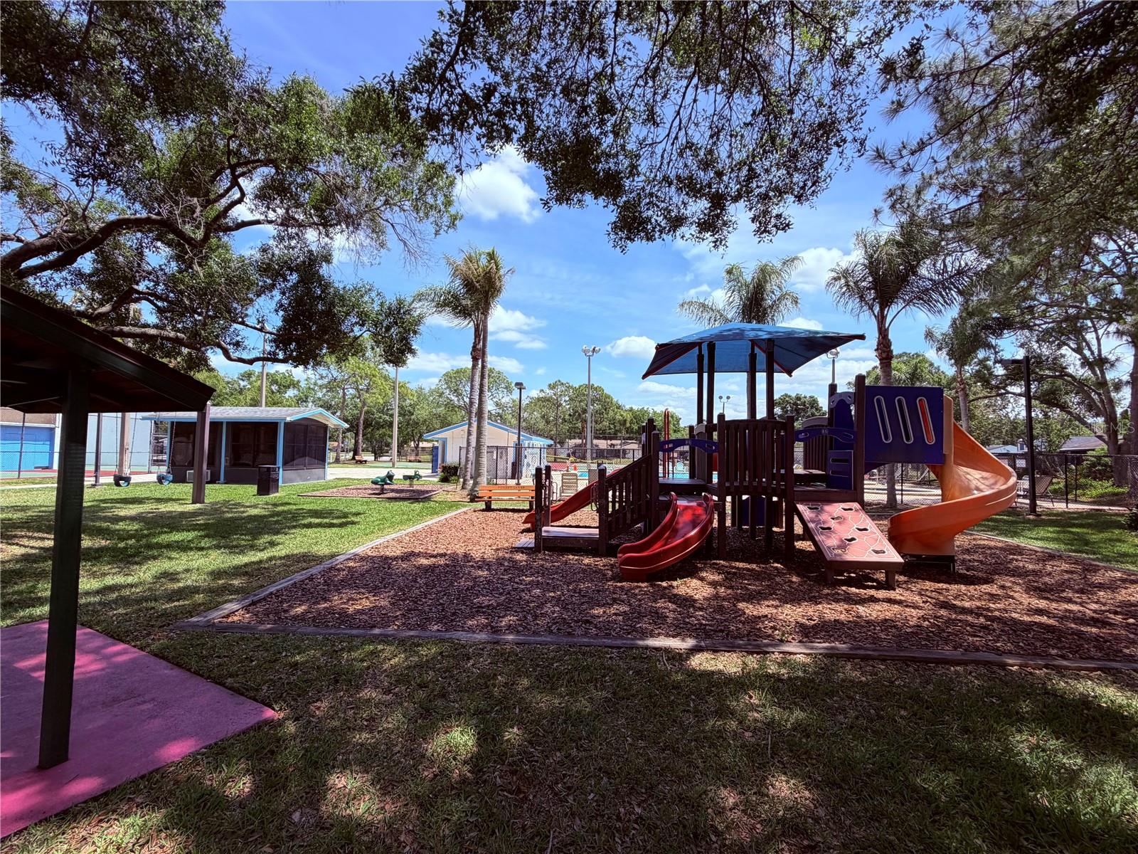 Image 51 of 57 For 129 Camphor Circle F